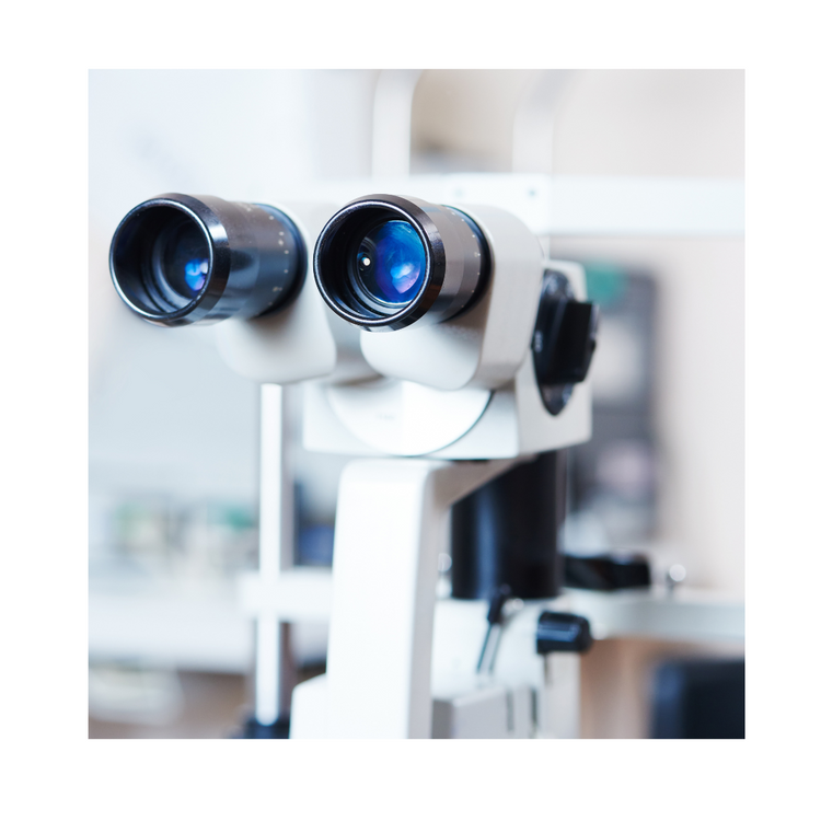 https://spotoptik.eu/collections/aparatura-optica-medicala?locale=en